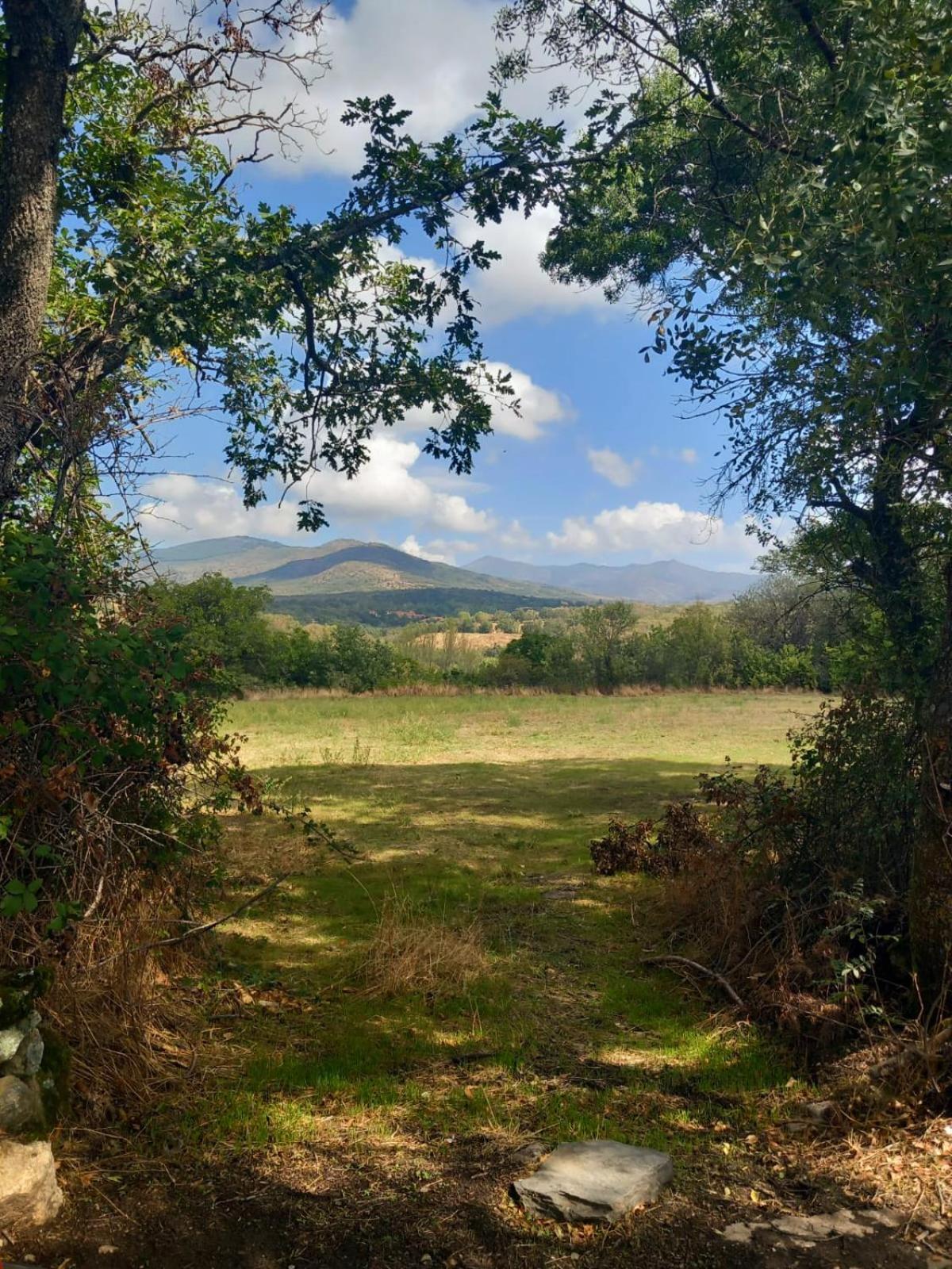 Al Viento, Alojamiento & Turismo Rural Pradena Del Rincon Exterior photo